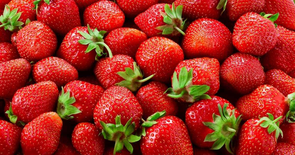 Image pour l'article Bienfaits : les 6 super-pouvoirs de la fraise qui vont vous étonner