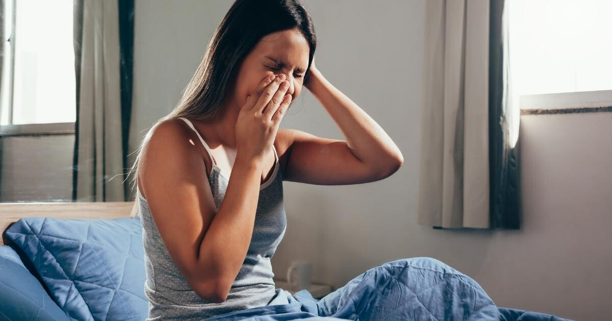 Image pour l'article Huiles essentielles pour les sinus : 7 solutions naturelles contre la sinusite